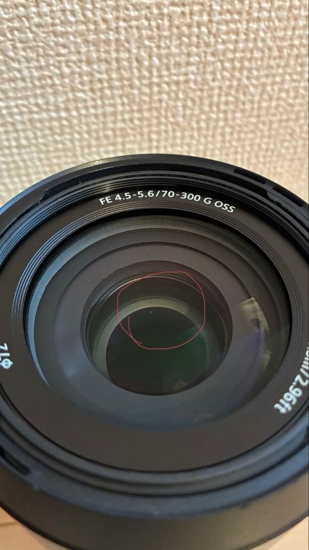 SONY FE 4.5-5.6/70-300 G OSSレンズ