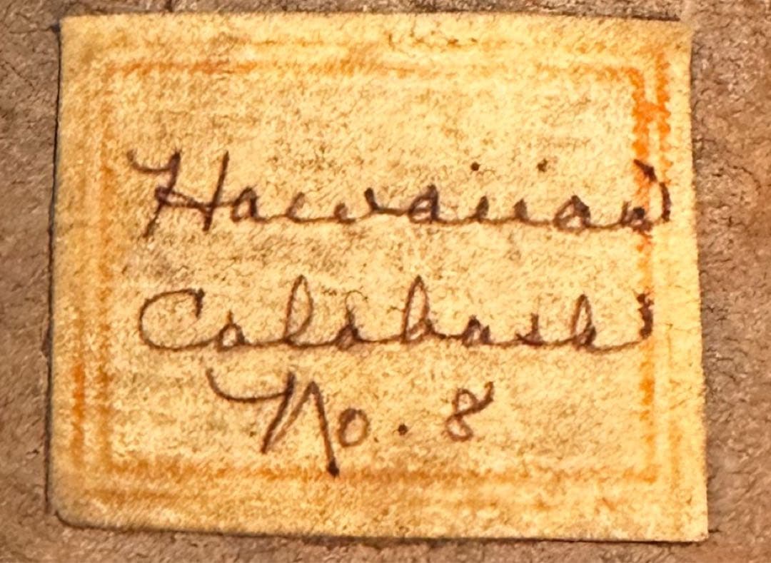 The Hawaiian Calabash antique fish hook付
