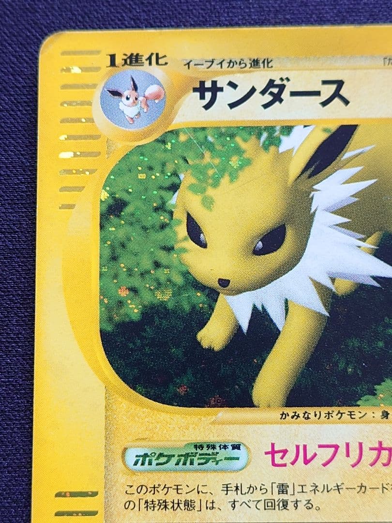 サンダース　セルフリカバー　eカード　キラ　裂けた大地