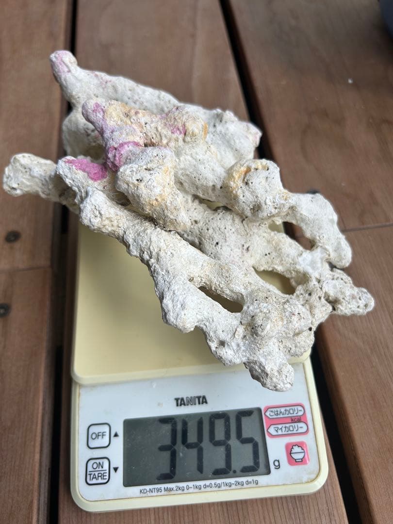 水槽用天然ライブロック　約1.8キロ 洗浄済み　6点セット