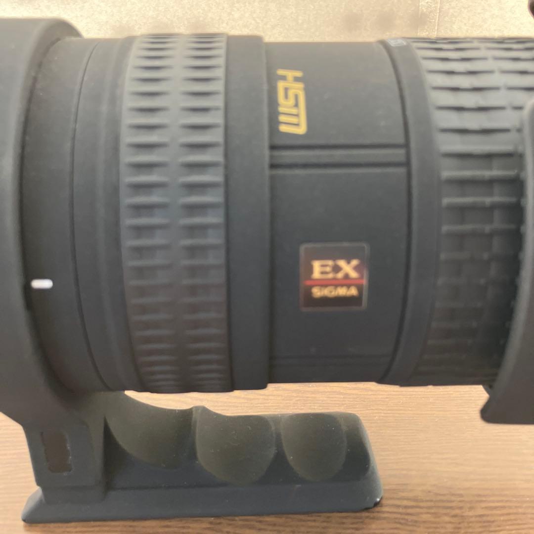 シグマ SIGMA APO 50-500 mmニコン Nikon