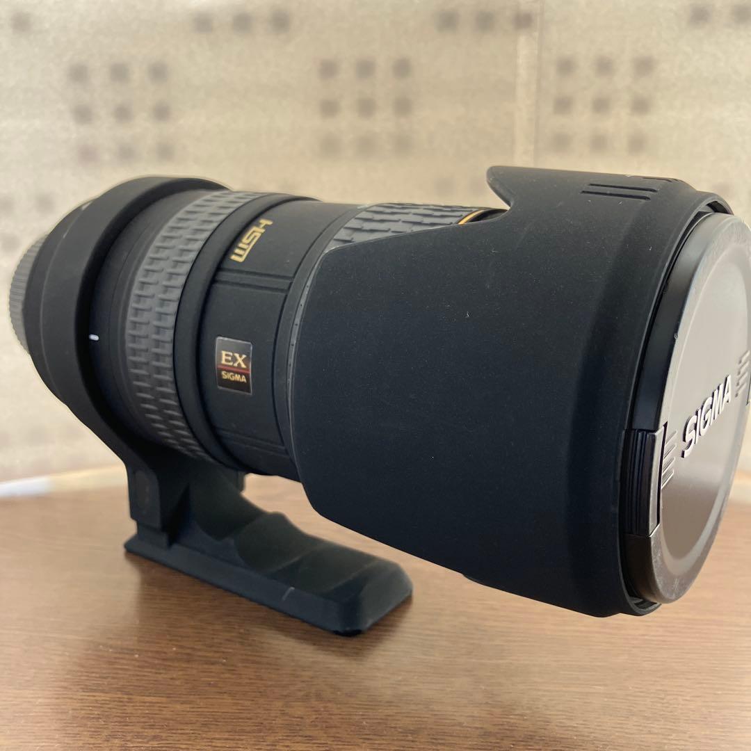シグマ SIGMA APO 50-500 mmニコン Nikon