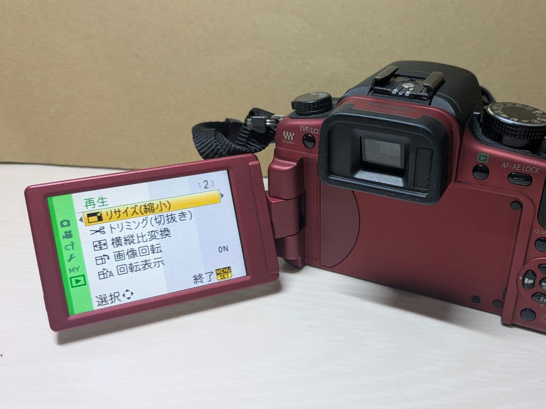 Panasonic LUMIX G2 レッドボディ 動作良好 ミラーレス一眼