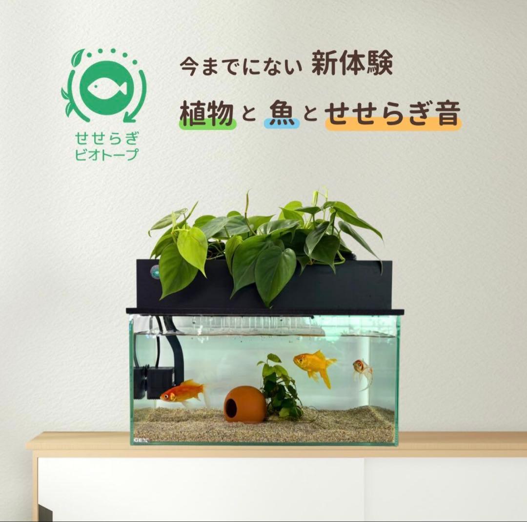 西条庭園 せせらぎビオトープ45cmスリムセット
