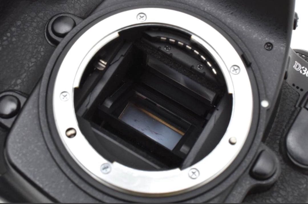 ニコン Nikon D300s ボディ 堅牢で高性能な一眼レフ