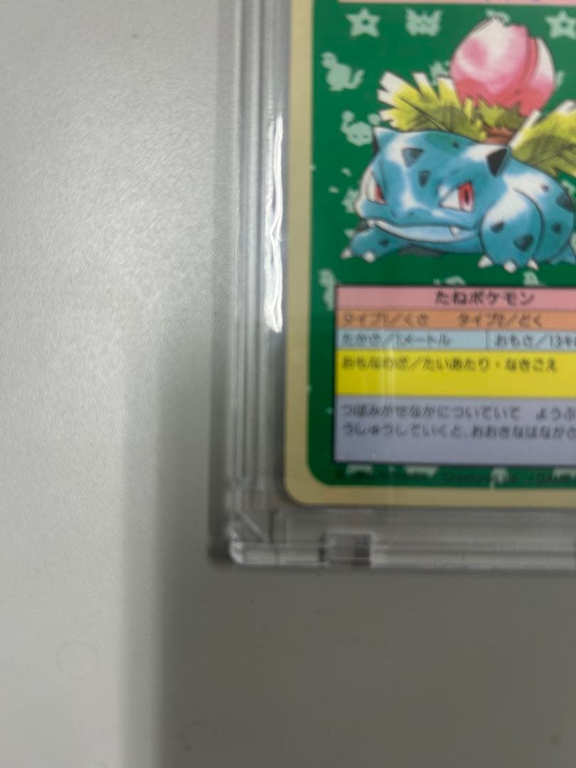 専用出品　トップサン　ポケモンカード　エラーカード　2枚セット