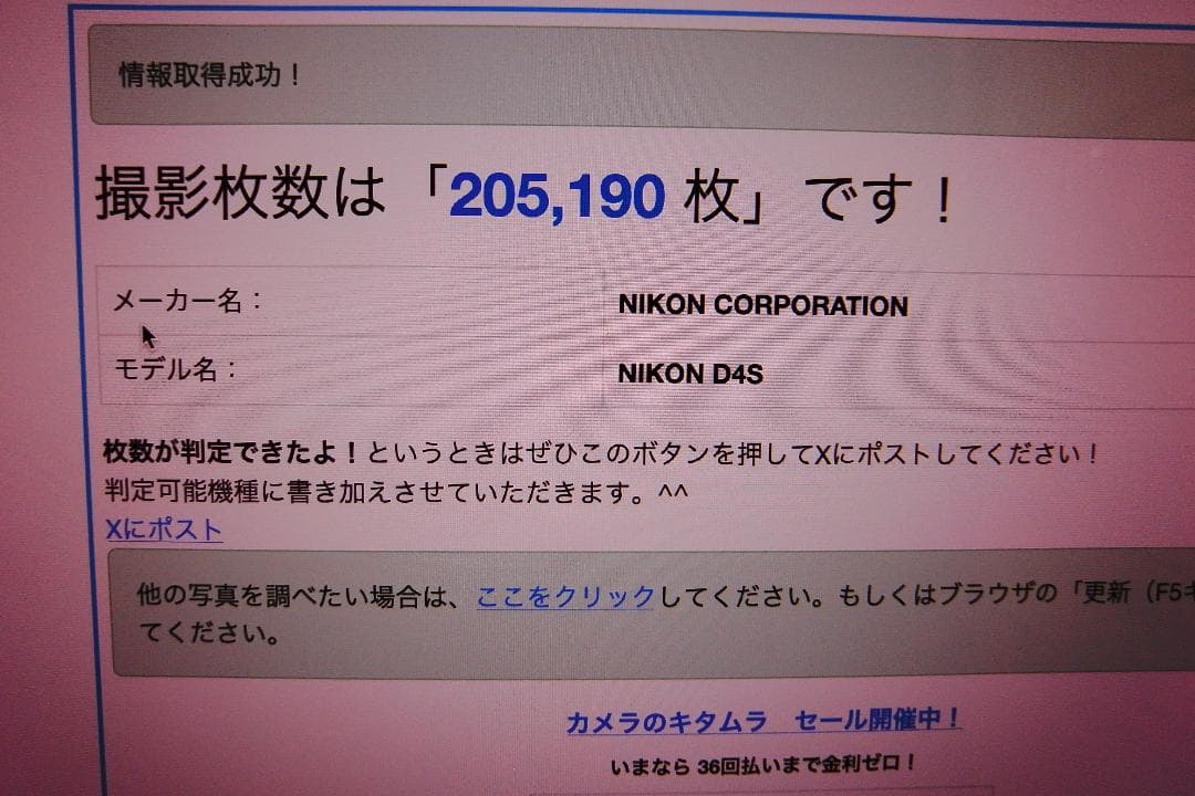 ニコン　D4s BT 充電器　XQD64GB S数205190枚　NIKON
