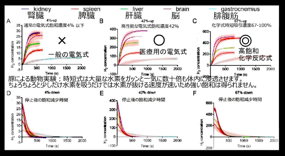 H2LARGE10　時短水素吸引器　7分でたっぷり10L吸引