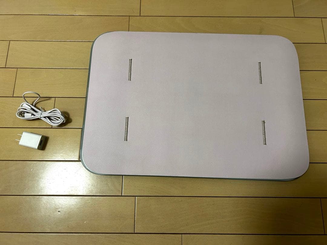 【美品・箱なし】WELLY スマートバスマット 2025年購入