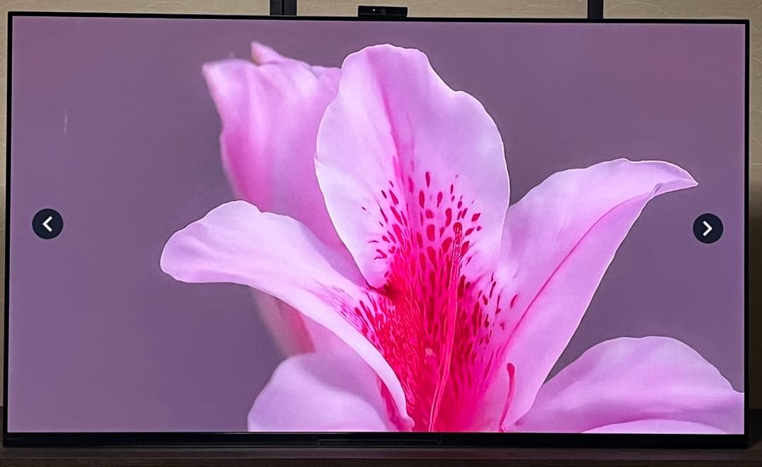 BRAVIA XRJ55 A95K 55インチ
