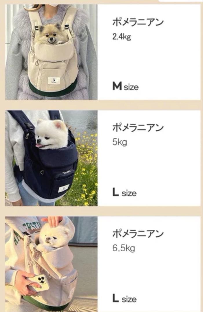韓国 befloof フロントバッグ XLキャリーバッグ スリング リュック
