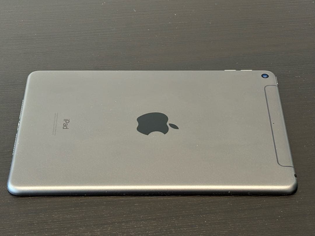 iPad mini（第5世代） 64GB / スペースグレイ /Cellular