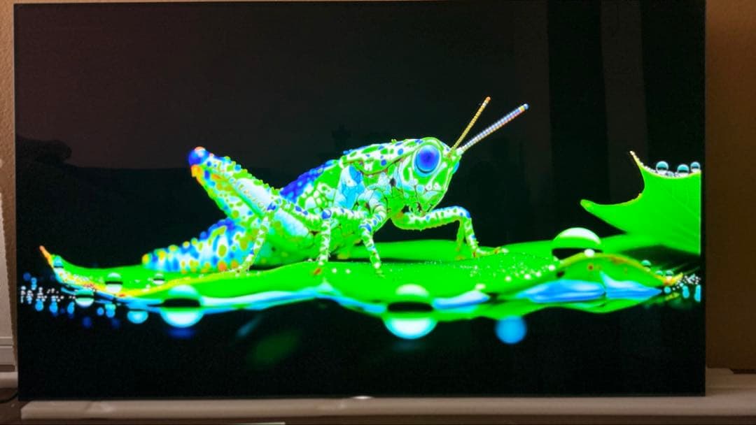 D*a様 4K有機ELテレビ SONY BRAVIA KJ-55A1