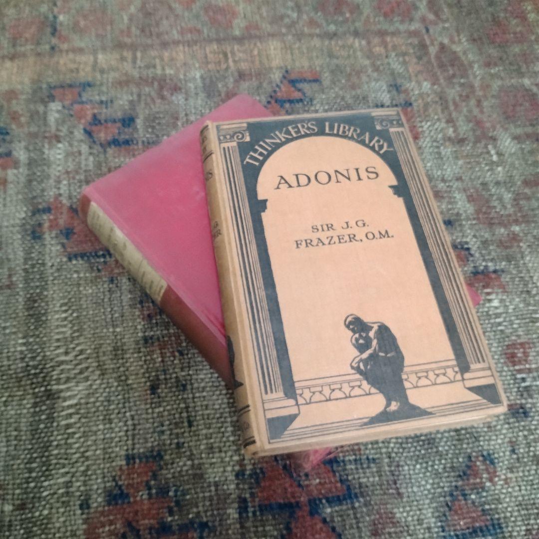 アンティーク ヴィンテージ 洋書 まとめ 10冊 赤系 vintage