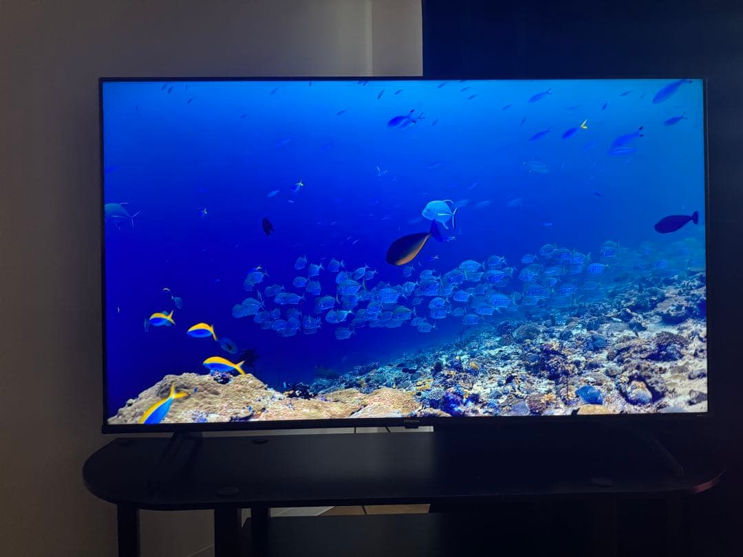 Hisense 50V 50E6K 4K Dolby vision 2024年