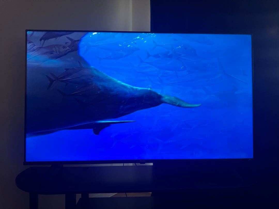 Hisense 50V 50E6K 4K Dolby vision 2024年