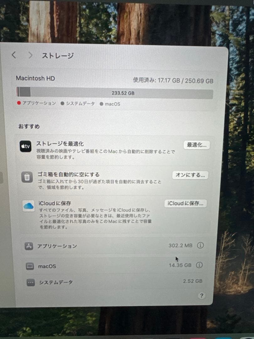 MacBook Air 2020 A2179 256GB シルバー