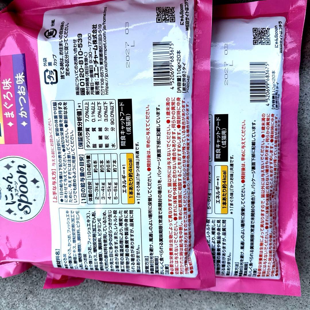 猫 H