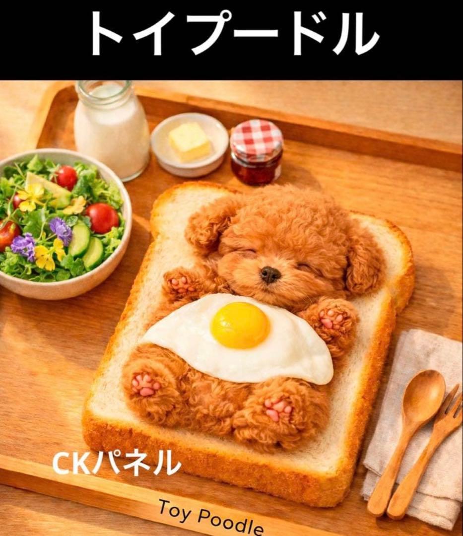 ❤️オーダー製作お受付用　確認用生地一部 297❤️