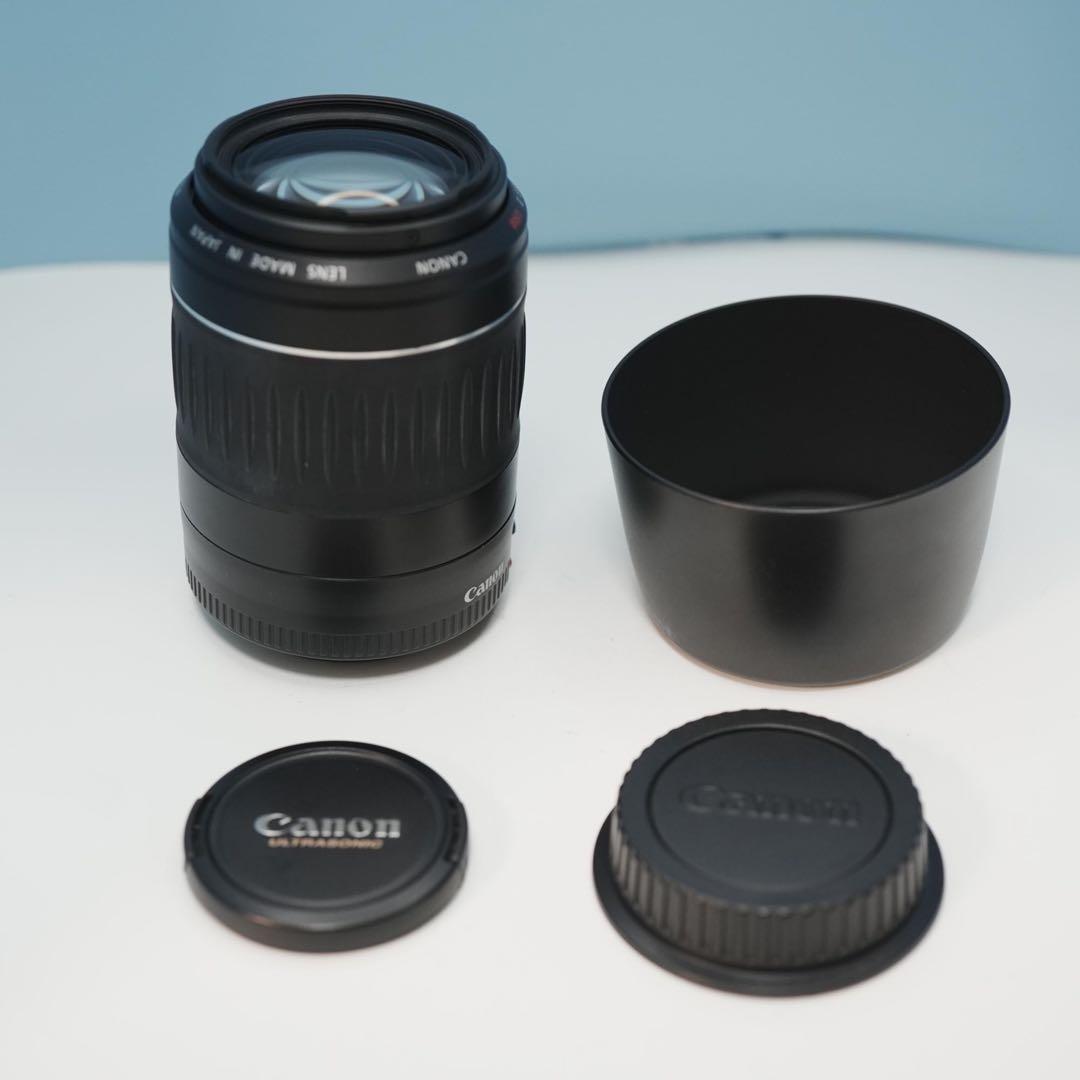 Canon純正 55-200mm 望遠レンズ a4250