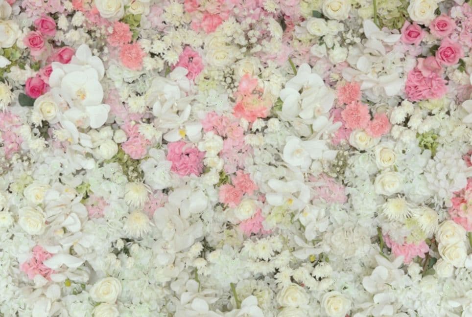 背景布　【　薔薇　H　】　ローズ　サンプル　ドール　ペット　トリミング　撮影用
