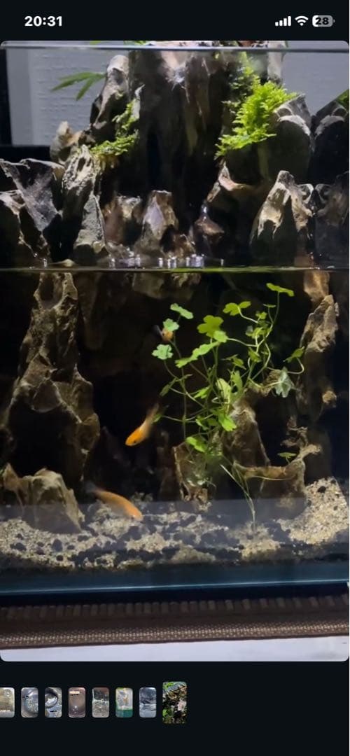 小型ガラス水槽 岩石風デザイン