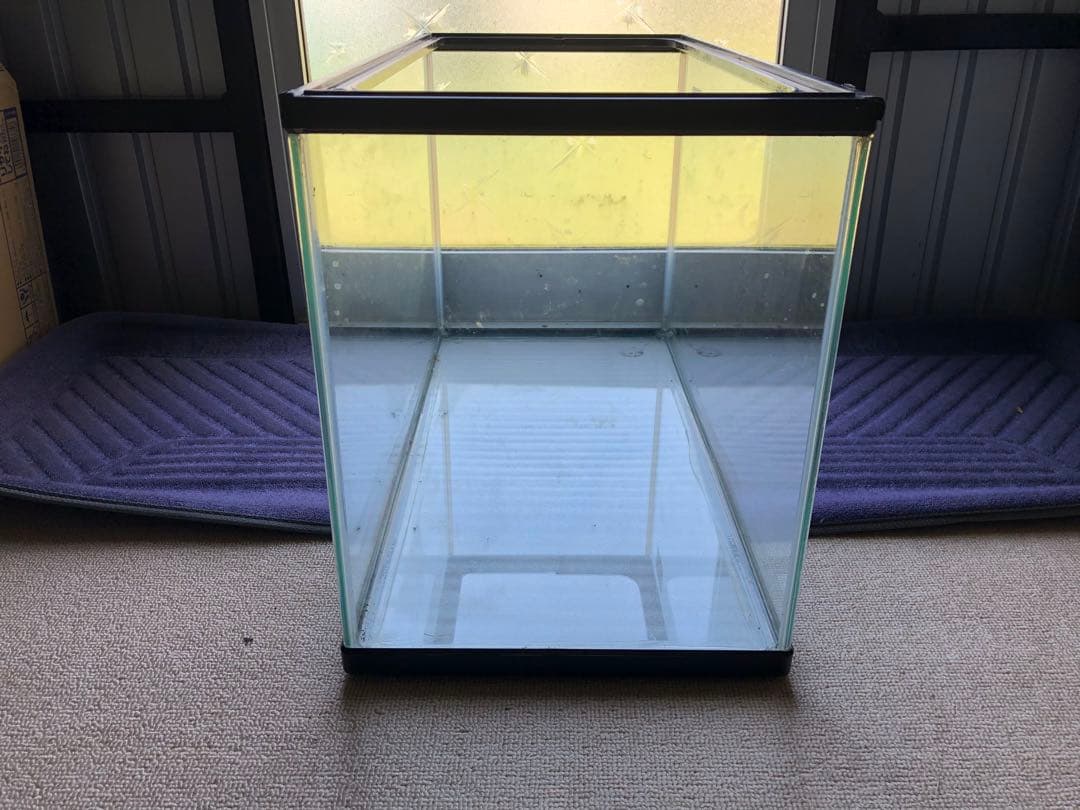 【新品未使用】NISSO 60cm 水槽 ガラス メダカ 金魚 熱帯魚