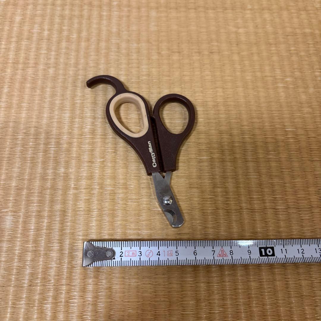 ハリネズミ 小動物 スターターセット 飼育セット