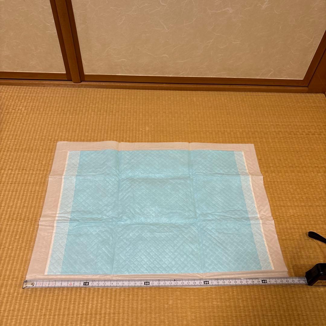 ハリネズミ 小動物 スターターセット 飼育セット