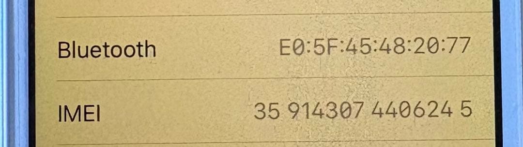 【美品】iPhone SE 64GB シルバー SIMロックなし　最大容量86%