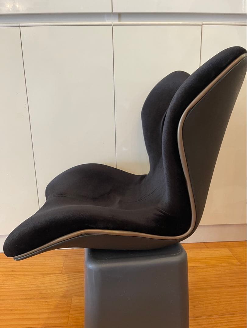 Style PREMIUM DX スタイル プレミアム デラックス