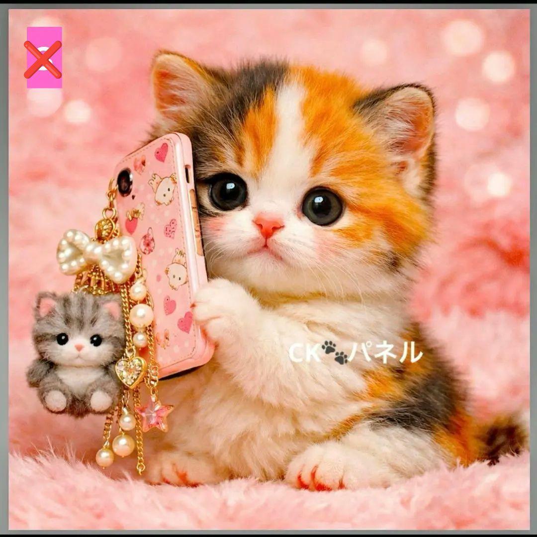 フラットポーチ1100円✫6重ガーゼハンカチ550円オーダー受け付けページCAT