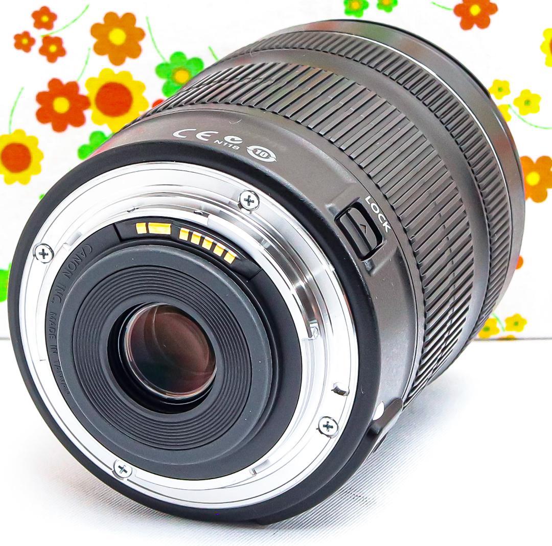 美品 Canon EF-S 18-135mm STM☆高性能・高倍率レンズ
