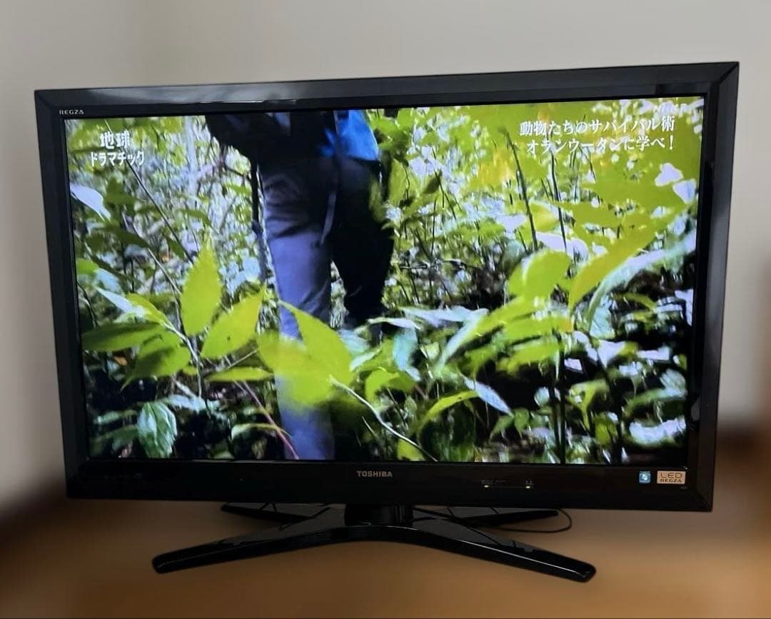 TOSHIBA 東芝REGZA 42Z1 LED液晶テレビ 42インチ