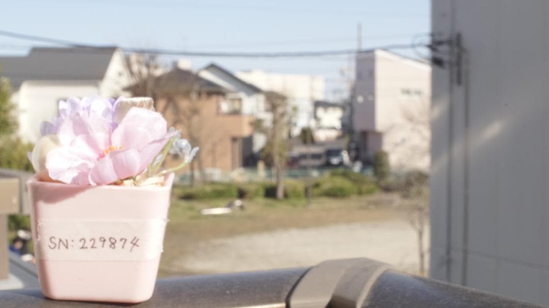 レンズ(単焦点) Nikon Ai-S 35mm f/2