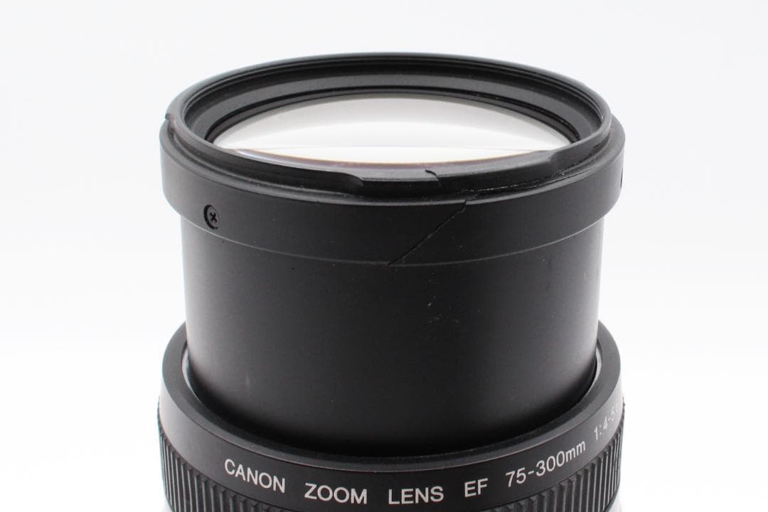 Canon EF 75-300mm F5.6 Ⅱ　定番望遠レンズ　即納OK