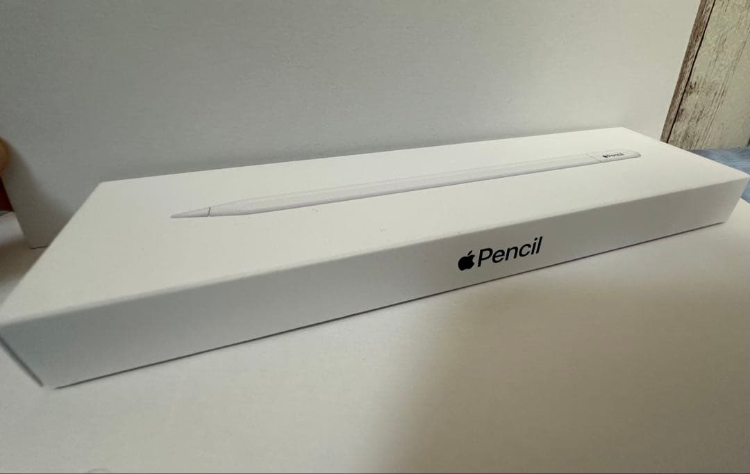 Apple Pencil (USB-C) Apple純正品