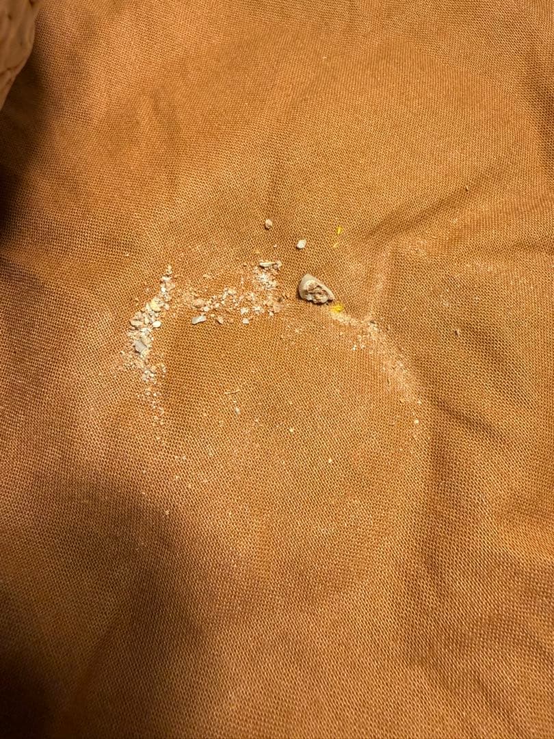 萩焼 鬼萩 茶碗 梅花皮 苑萩印 茶道具 金継ぎ用