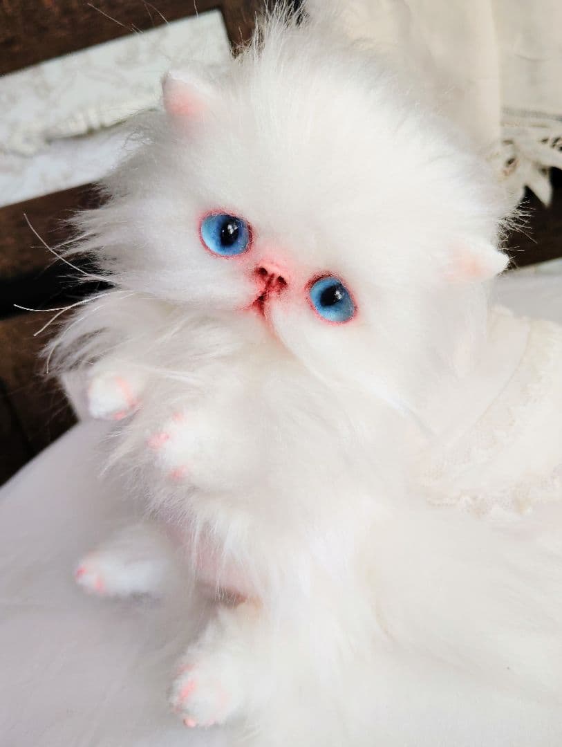 子猫のぷーたん❤エキゾチック♡お腹ぽっこり♡アートドール♡ぬいぐるみ♡