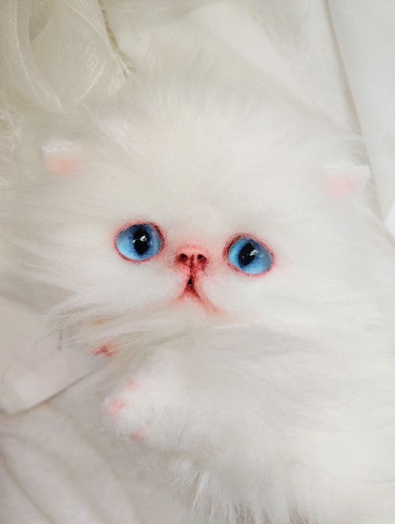 子猫のぷーたん❤エキゾチック♡お腹ぽっこり♡アートドール♡ぬいぐるみ♡