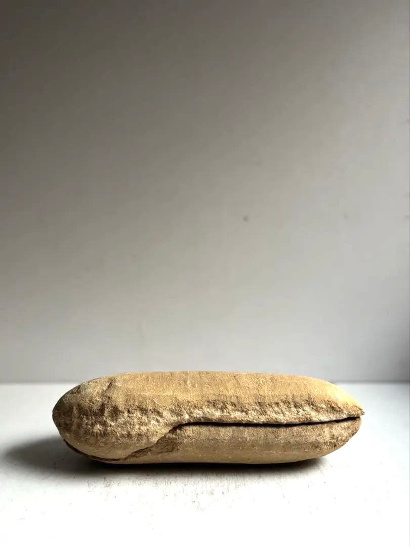 972 化石 白亜紀前期 古代魚 タルリアス・アラピス ブラジル サンタナ層