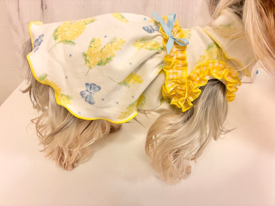 犬服　ハンドメイド　セミオーダー　ミモザ