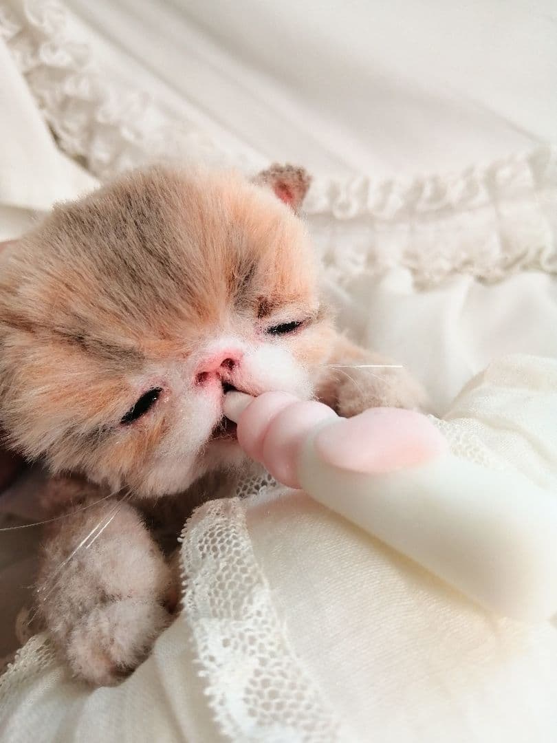ママぁ～♡お世話セット♡子猫ちゃん♡アートドール♡ぬいぐるみ♡