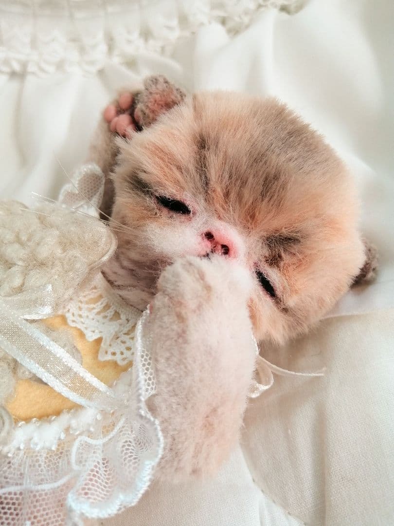 ママぁ～♡お世話セット♡子猫ちゃん♡アートドール♡ぬいぐるみ♡