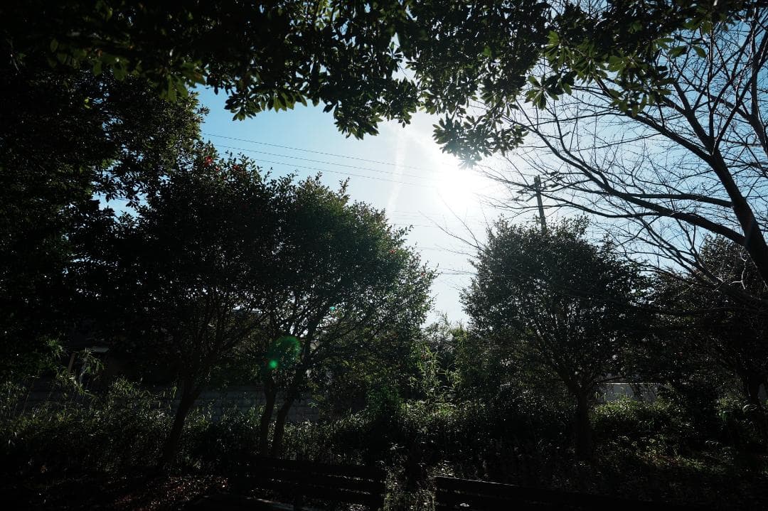 【風景・建築・星景に】Sony E 11mm F1.8 827