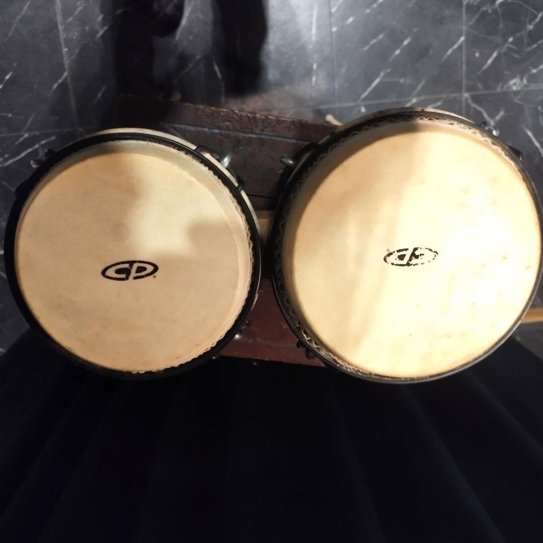 CP LP ボンゴ