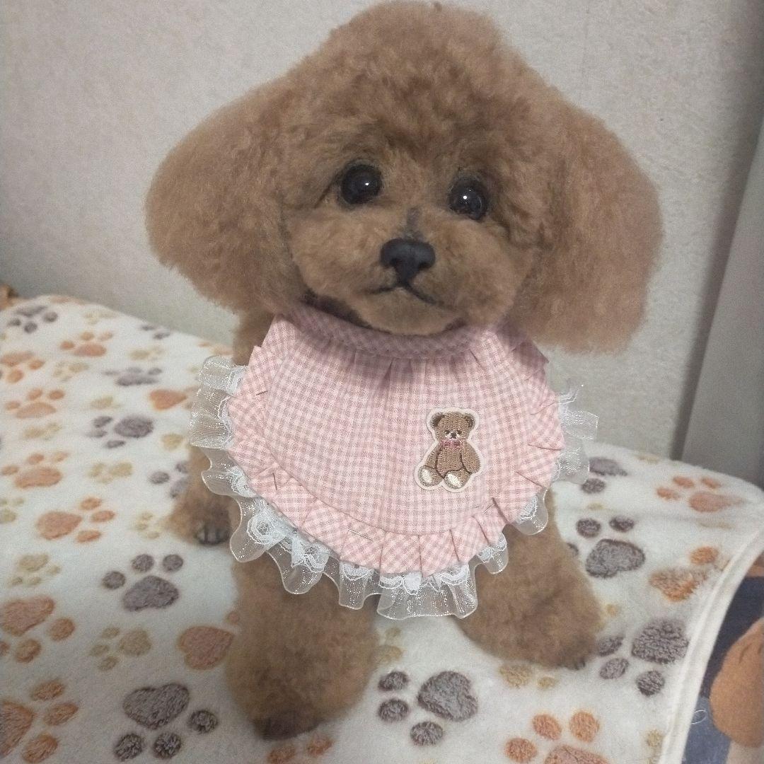 送料込み♡トイプードルレッドちゃん。ビッグ！