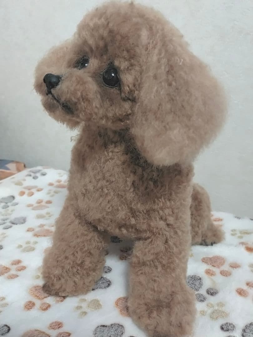 送料込み♡トイプードルレッドちゃん。ビッグ！