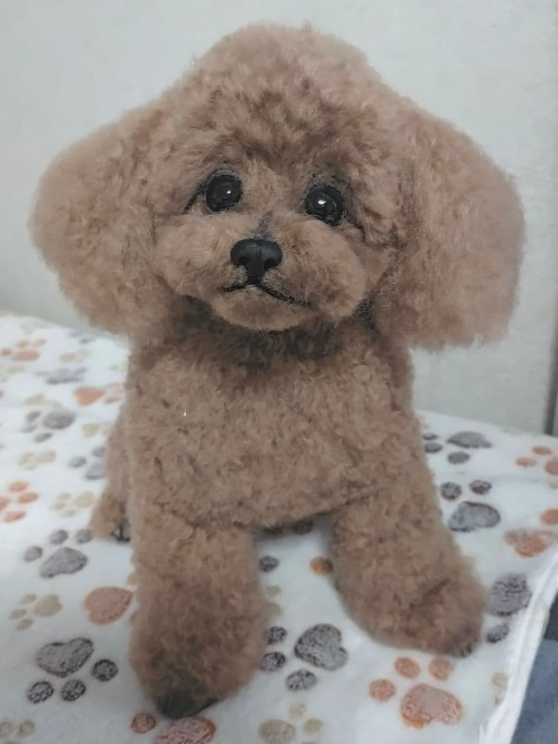 送料込み♡トイプードルレッドちゃん。ビッグ！