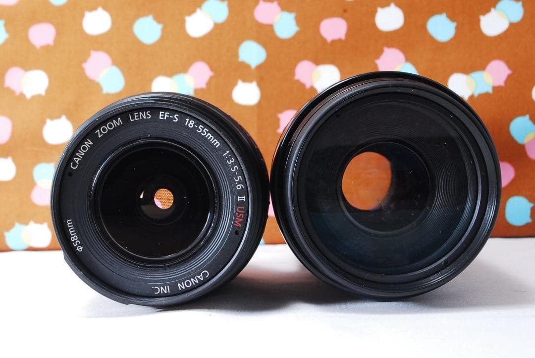 ✨お買い得✨Canon Kiss Digital N ダブルレンズセット